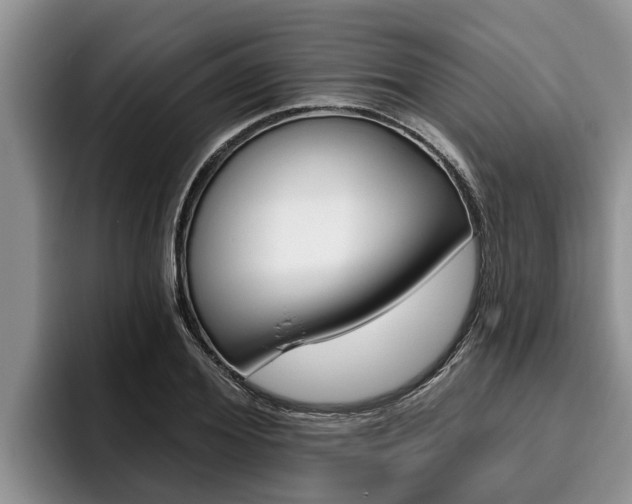 X0000096210980200801181006
