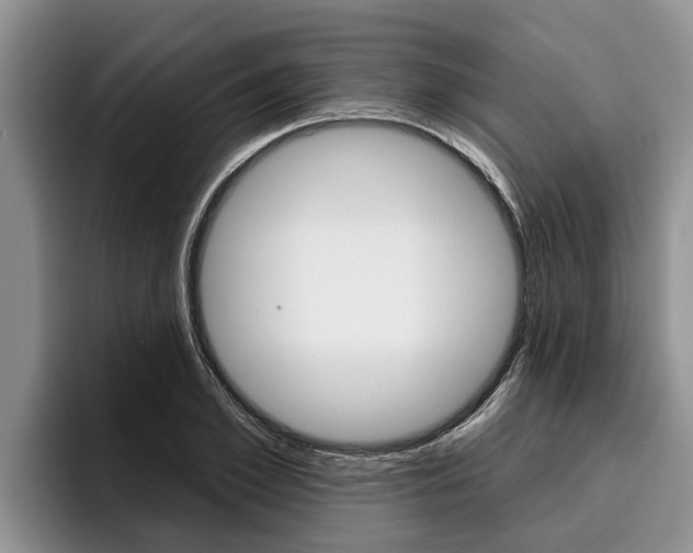X0000096210981200801181006