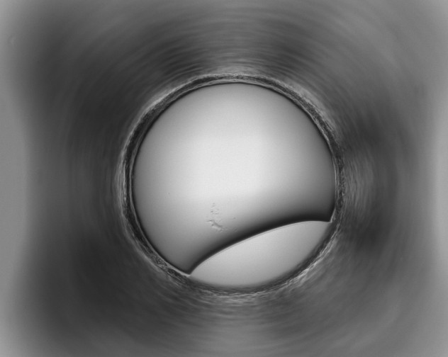 X0000096210982200801181006