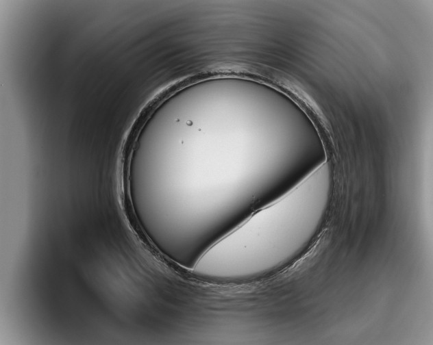 X0000096210984200801181006