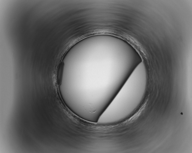 X0000096210985200801181006