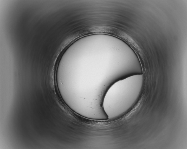 X0000096210986200801181006