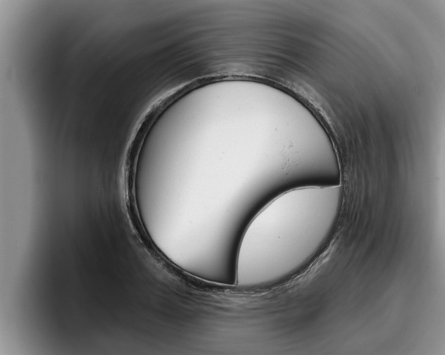 X0000096210987200801181006