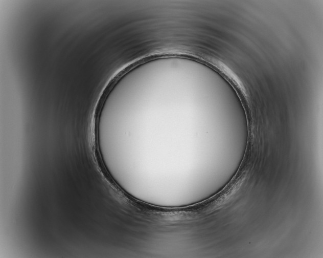 X0000096210988200801181006