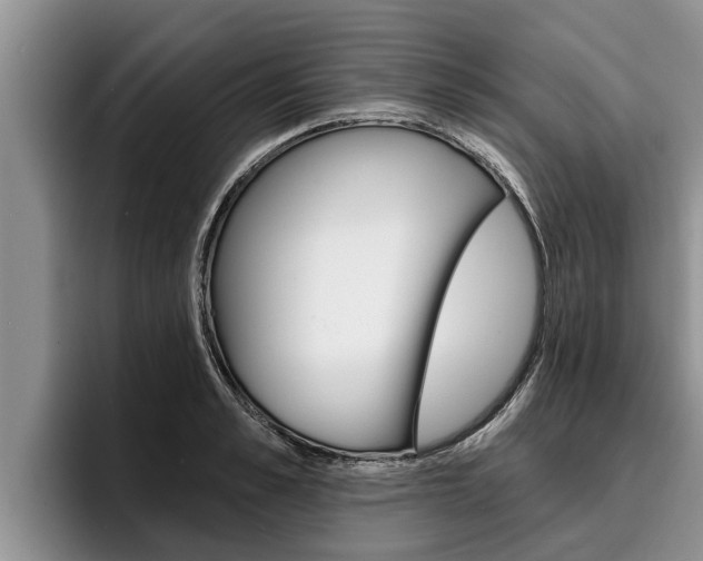 X0000096210989200801181006