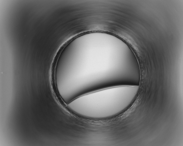 X0000096210991200801181006