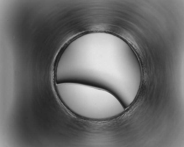 X0000096210992200801181006