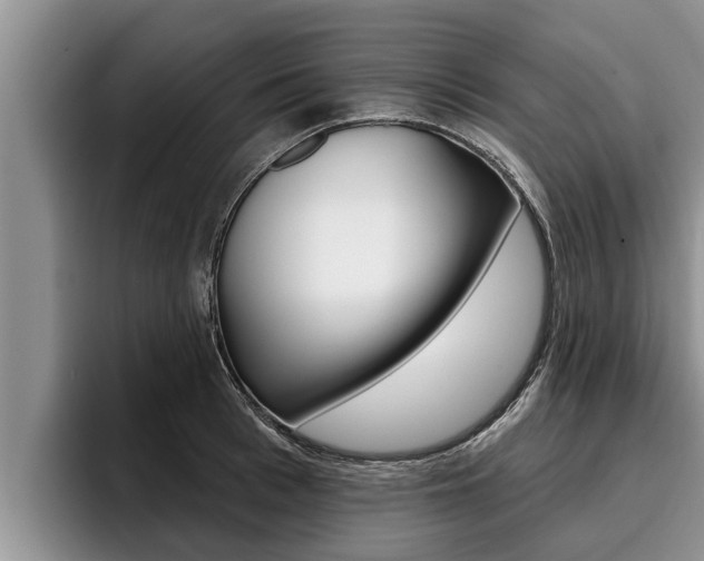 X0000096210993200801181006