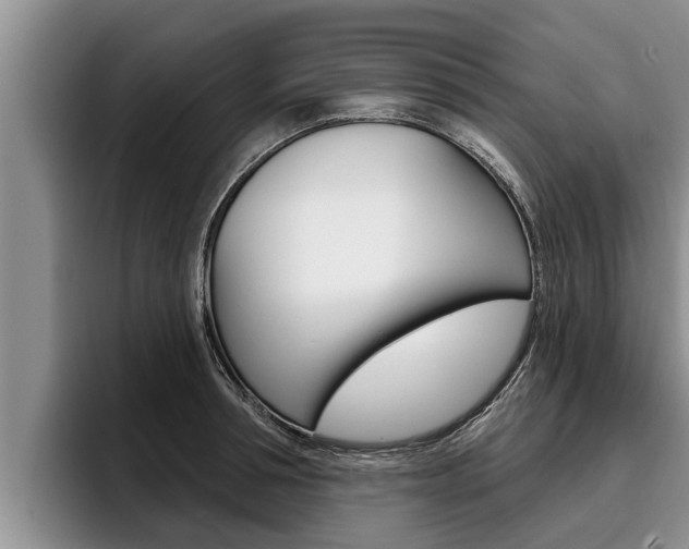 X0000096210994200801181006