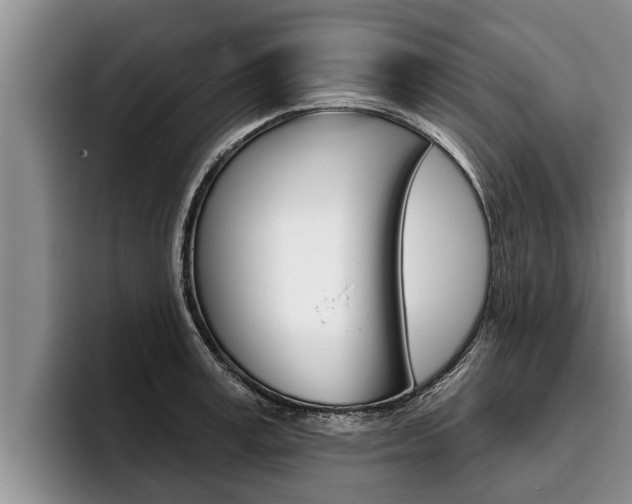 X0000096210995200801181005