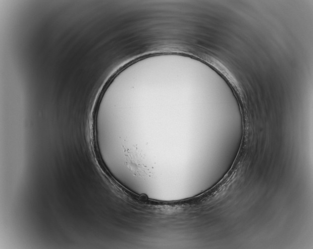 X0000096210996200801181005