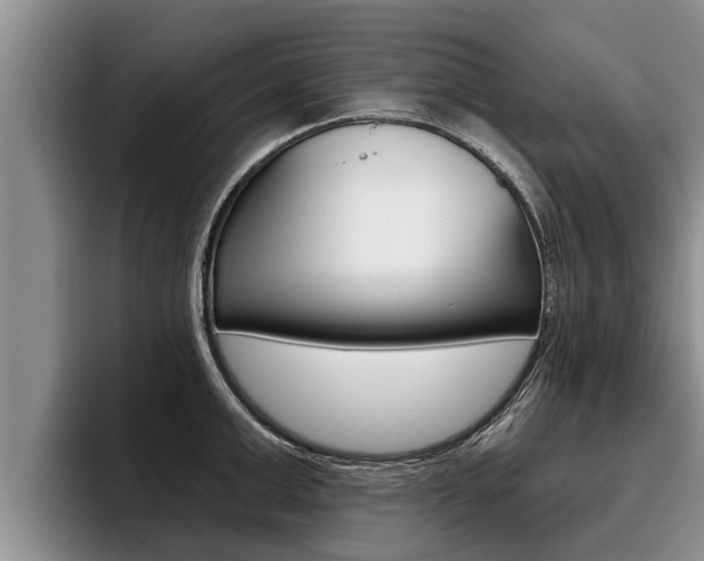 X0000096210999200801181005