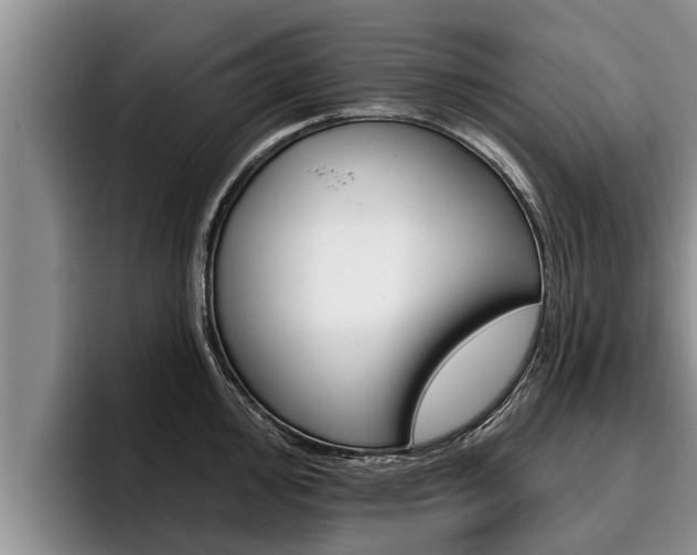 X0000096211000200801181005