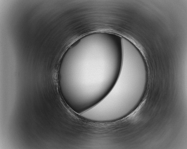 X0000096211001200801181005