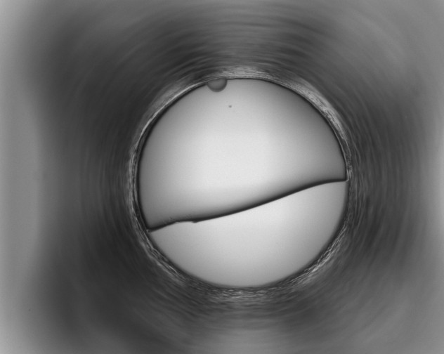 X0000096211002200801181005
