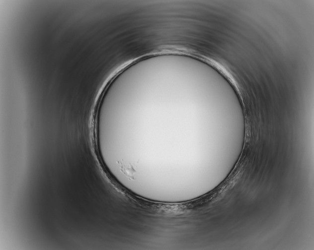 X0000096211003200801181005