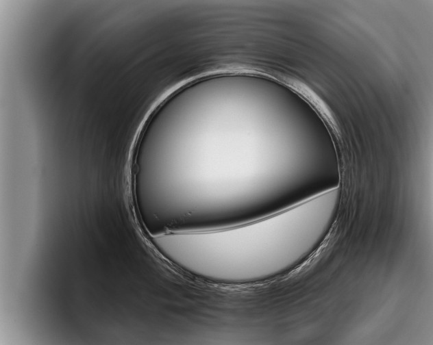 X0000096211004200801181005