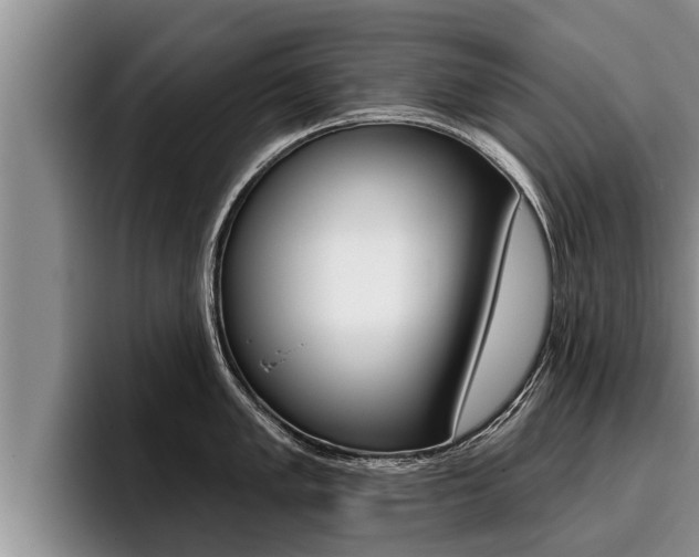 X0000096211005200801181005
