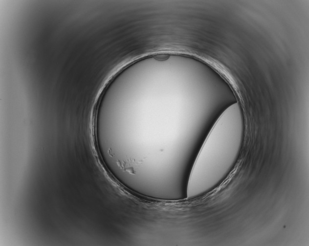X0000096211006200801181005