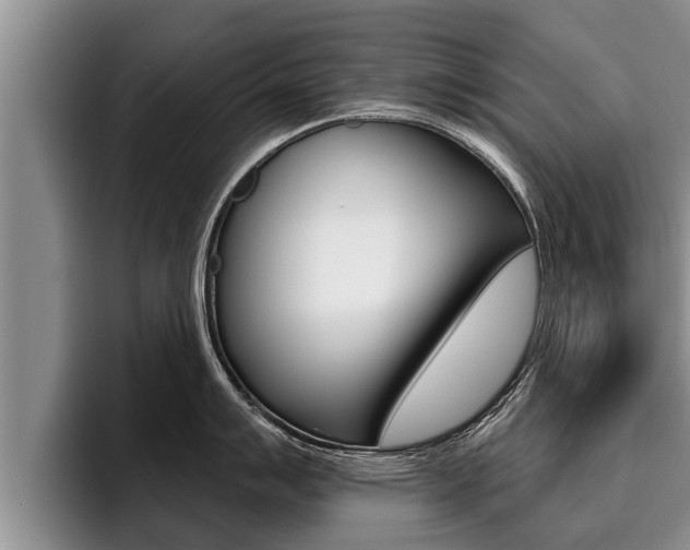 X0000096211007200801181005