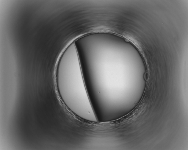 X0000096211008200801181005