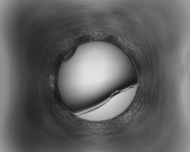X0000096211010200801181005