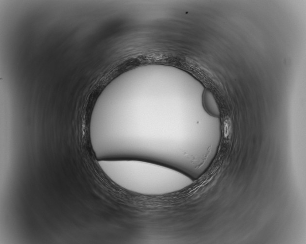 X0000096211011200801181005