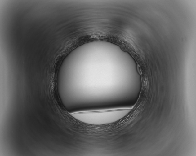 X0000096211012200801181005