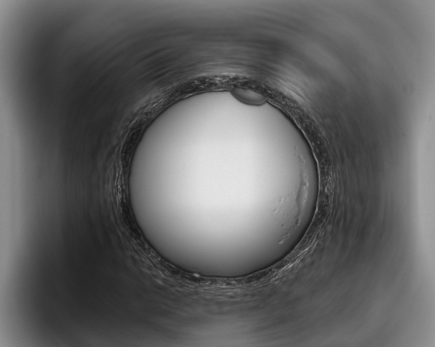 X0000096211014200801181005