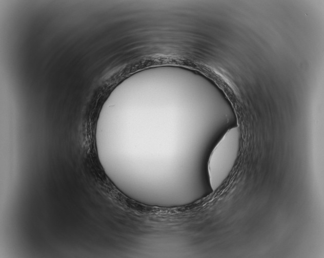 X0000096211015200801181005