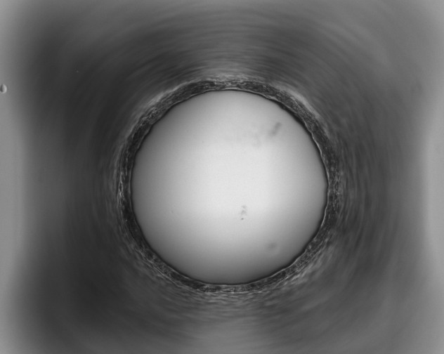 X0000096211016200801181005