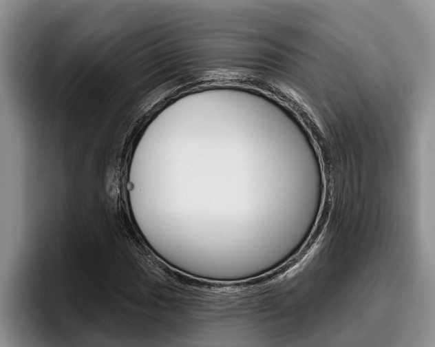 X0000096211017200801181005