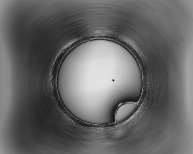 X0000096211018200801181005