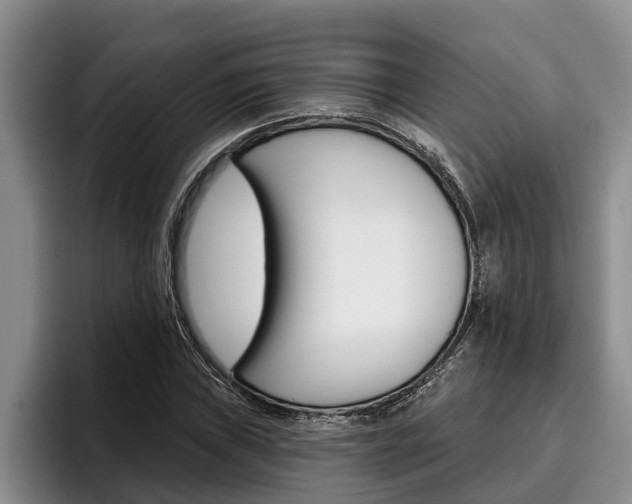 X0000096211019200801181005