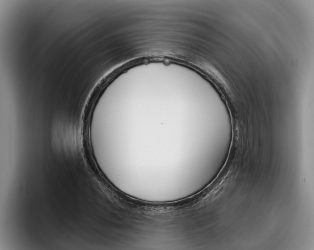 X0000096211020200801181005