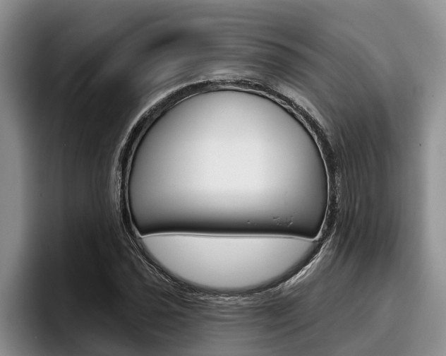 X0000096211021200801181005