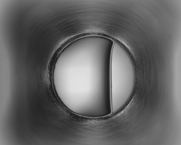 X0000096211022200801181005
