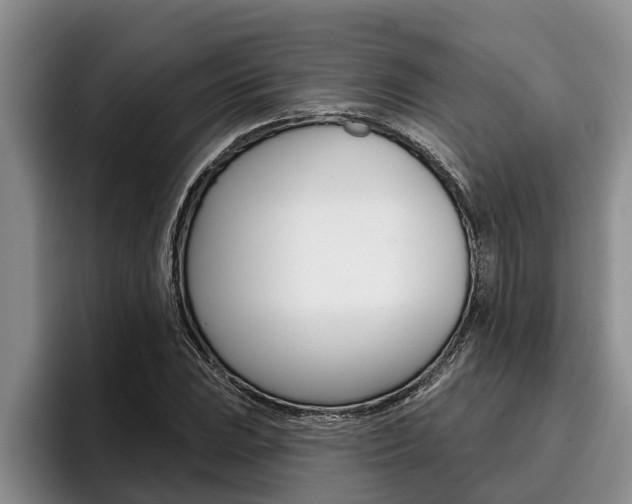 X0000096211023200801181005