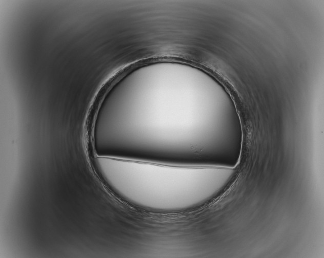 X0000096211024200801181005