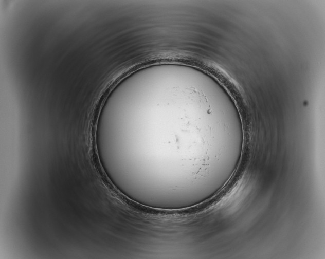 X0000096211025200801181005