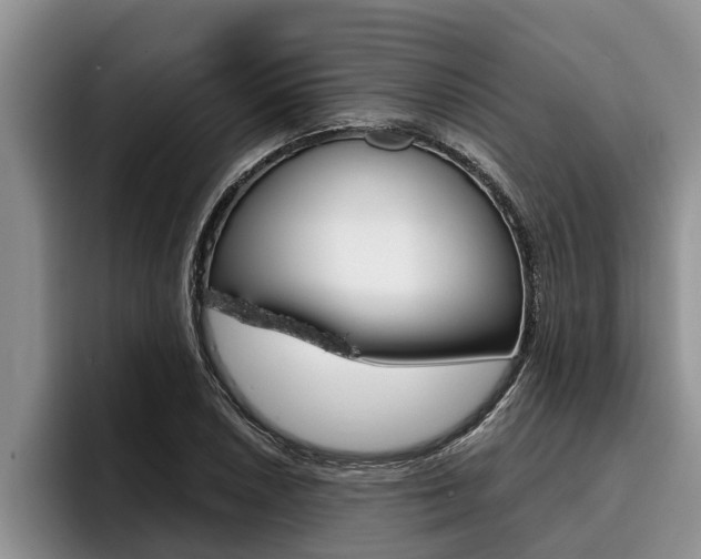 X0000096211026200801181005