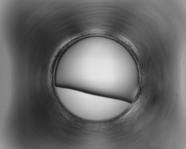 X0000096211027200801181005