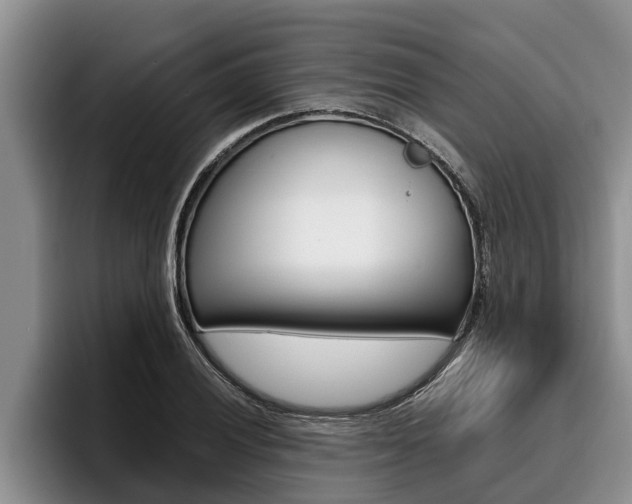 X0000096211028200801181005
