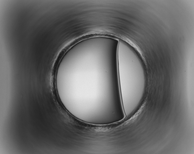 X0000096211029200801181005