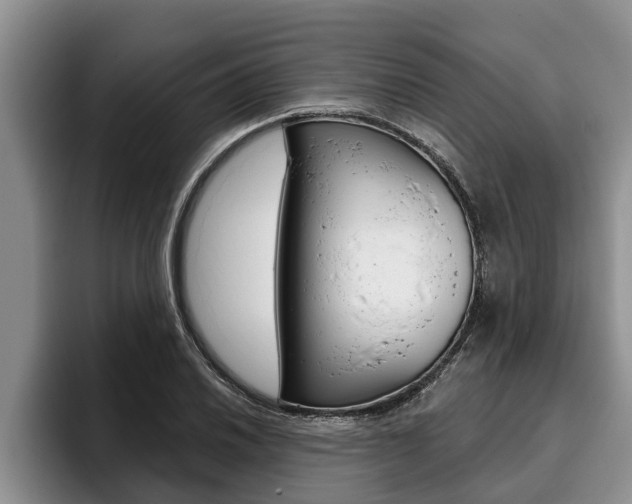 X0000096211030200801181005
