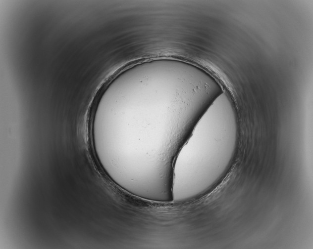 X0000096211031200801181005