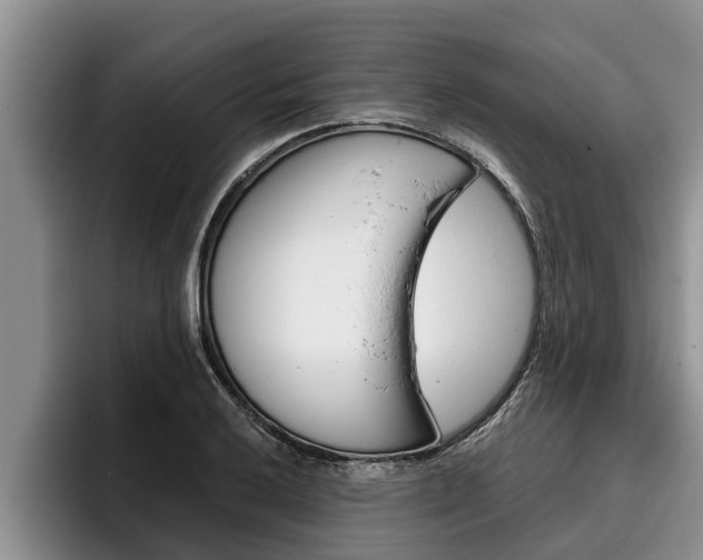 X0000096211032200801181005