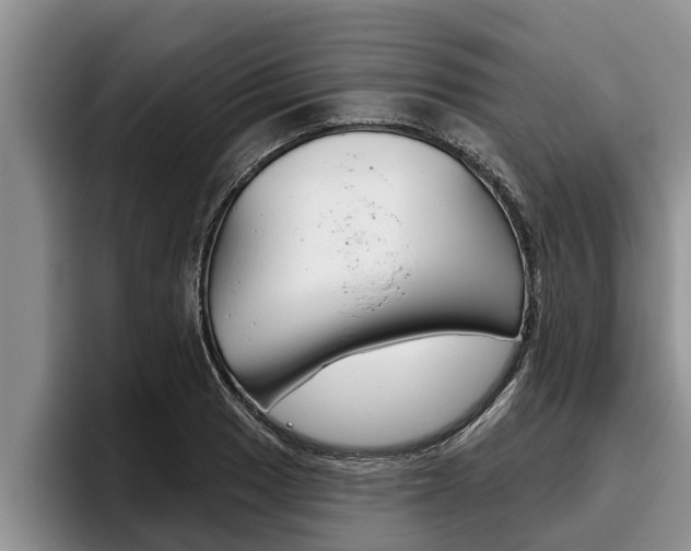 X0000096211033200801181005
