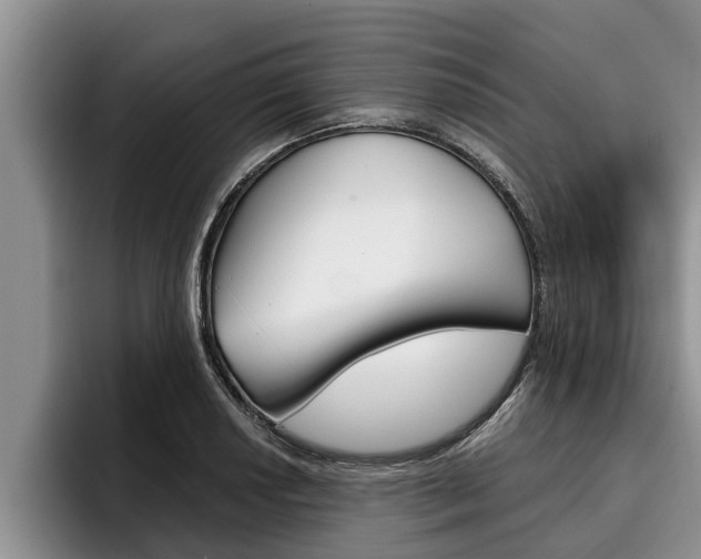 X0000096211034200801181005