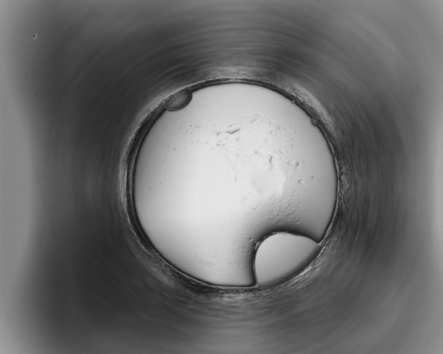 X0000096211035200801181005